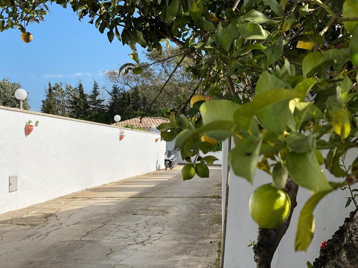 Hostal Vivienda Rural Atlantico Sur Conil De La Frontera Exterior foto